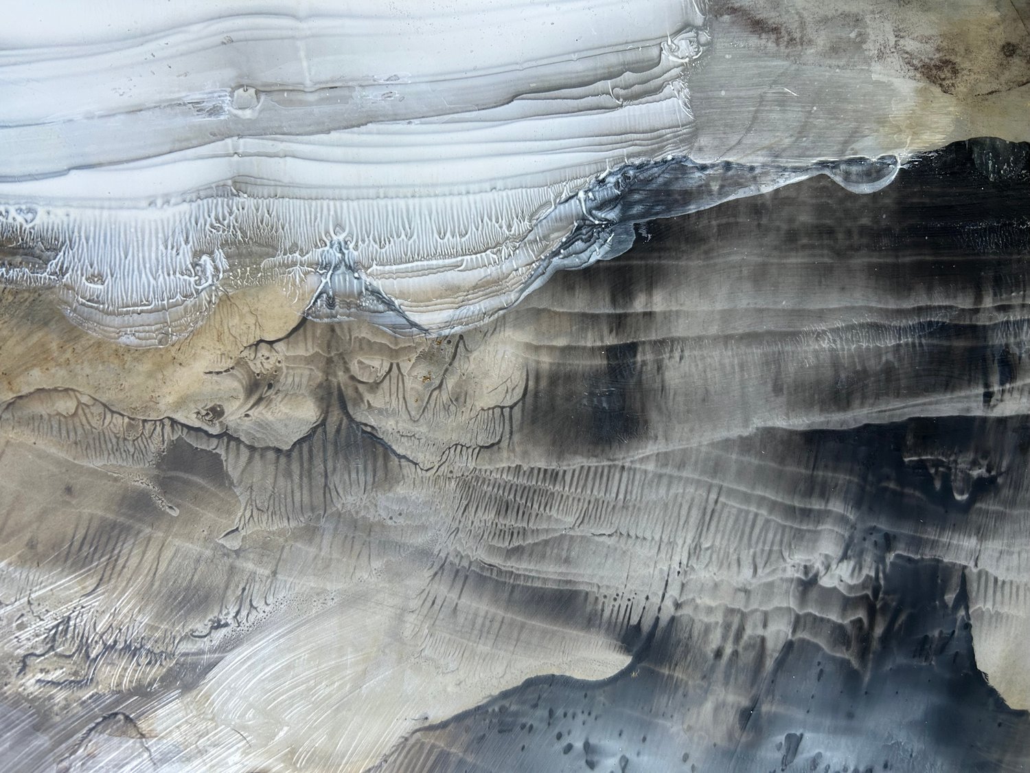 Image of Amie Oliver | Chesapeake Bay Tide