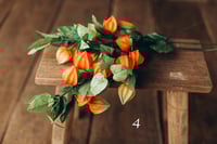 Image 4 of Various  plants