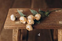 Image 4 of Various flowers 