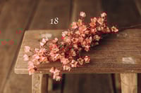 Image 18 of Various flowers 