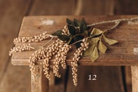 Image 12 of Various flowers 