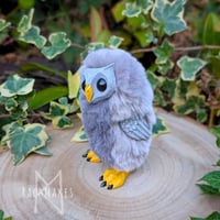 Image 1 of Soft Grey Hootling
