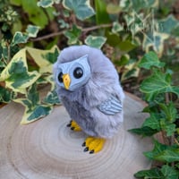 Image 2 of Soft Grey Hootling