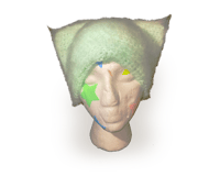 Image 1 of Mint Meow Beanie