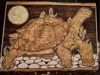 Image 1 of 'Father Time' 