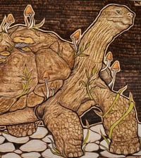 Image 2 of 'Father Time' 