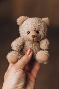 Image 2 of Tiny Bear
