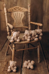 Image 1 of Tiny Bear