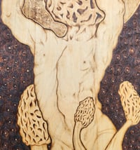 Image 2 of 'Morel of Man'