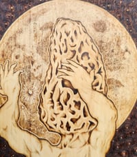 Image 3 of 'Morel of Man'