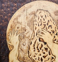 Image 5 of 'Morel of Man'