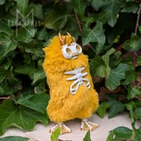 Image 1 of Golden Yellow Skellie 