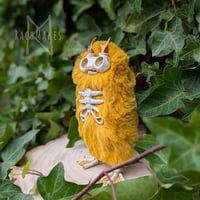 Image 3 of Golden Yellow Skellie 