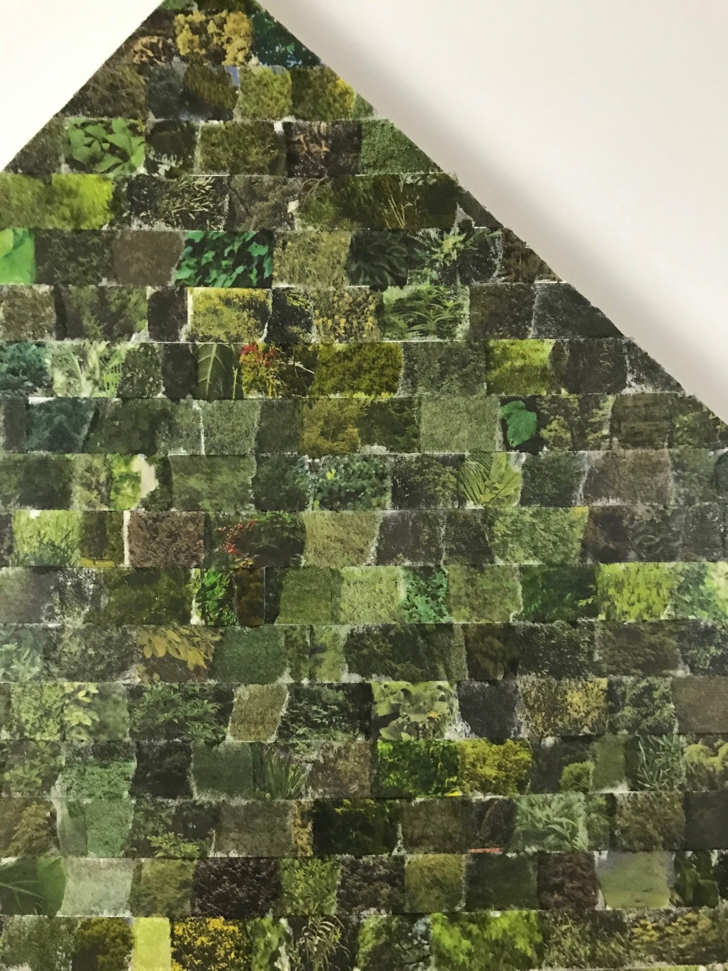 Image of Travis Childers | Vegetation 3