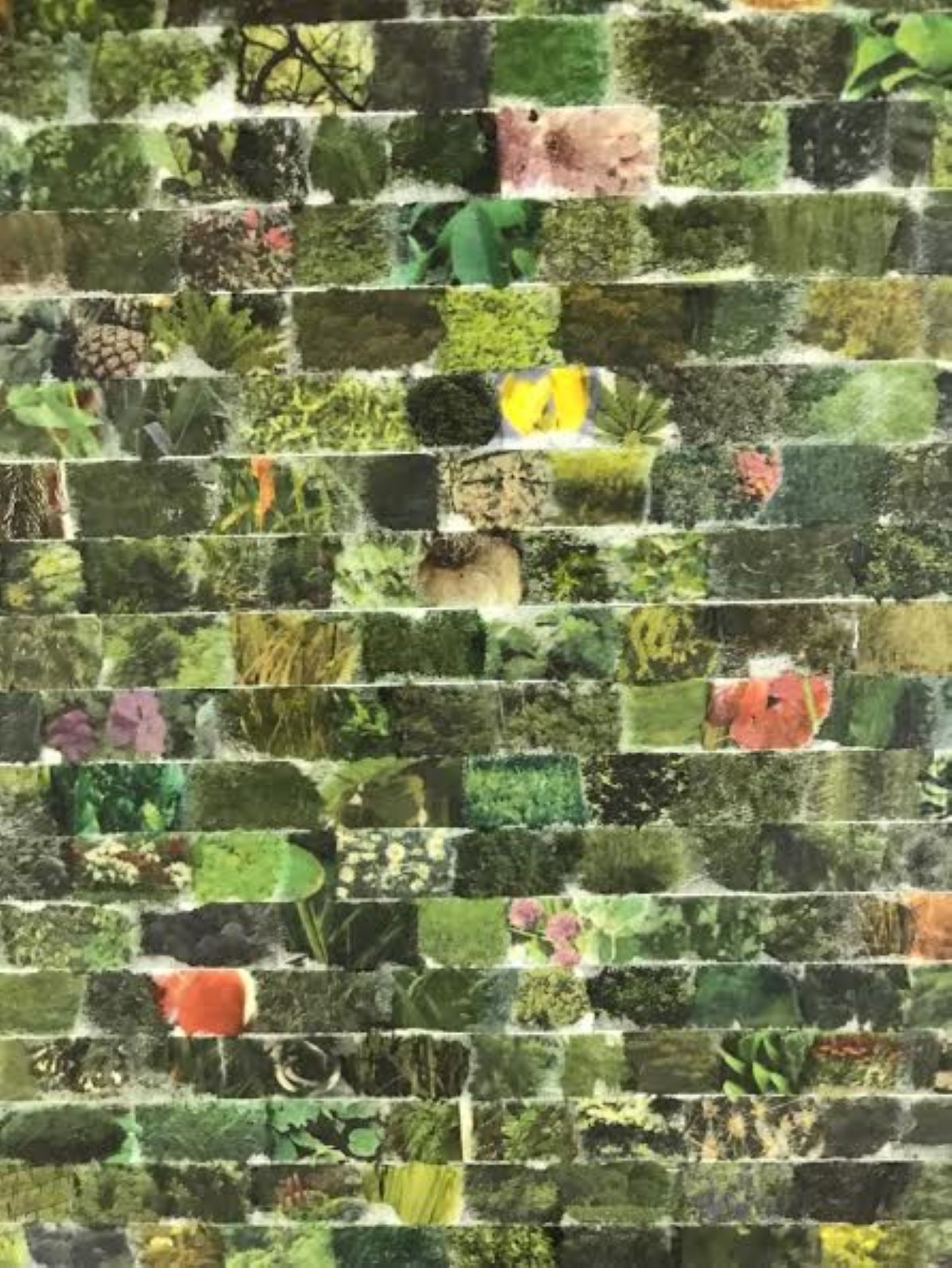 Image of Travis Childers | Vegetation