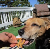Image 4 of Apple Cinnamon Dog Pretzels 