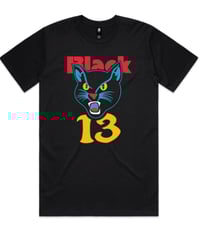Image 1 of Black "13" Cat