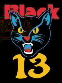 Image 2 of Black "13" Cat