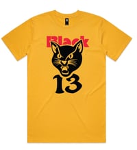 Image 1 of Yellow "13" Cat