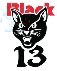 Image 2 of Yellow "13" Cat