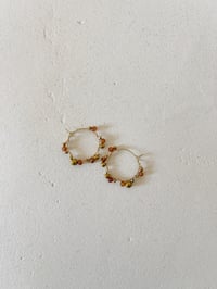 Image 1 of Bo LISON / Cornaline 