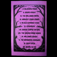 Image 2 of MDFG ZINE II