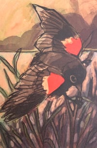 Image 1 of red winged blackbird mini print 