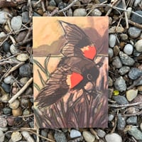 Image 2 of red winged blackbird mini print 