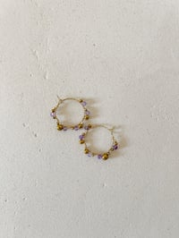 Image 1 of Bo LISON /  Améthyste 