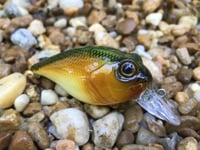 Image 6 of Custom Airbrushed Crankbait 0729