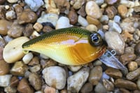 Image 8 of Custom Airbrushed Crankbait 0729