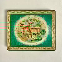 Image 2 of Bluebird Deer