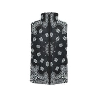Image 2 of BLACK BEAUTY VEST