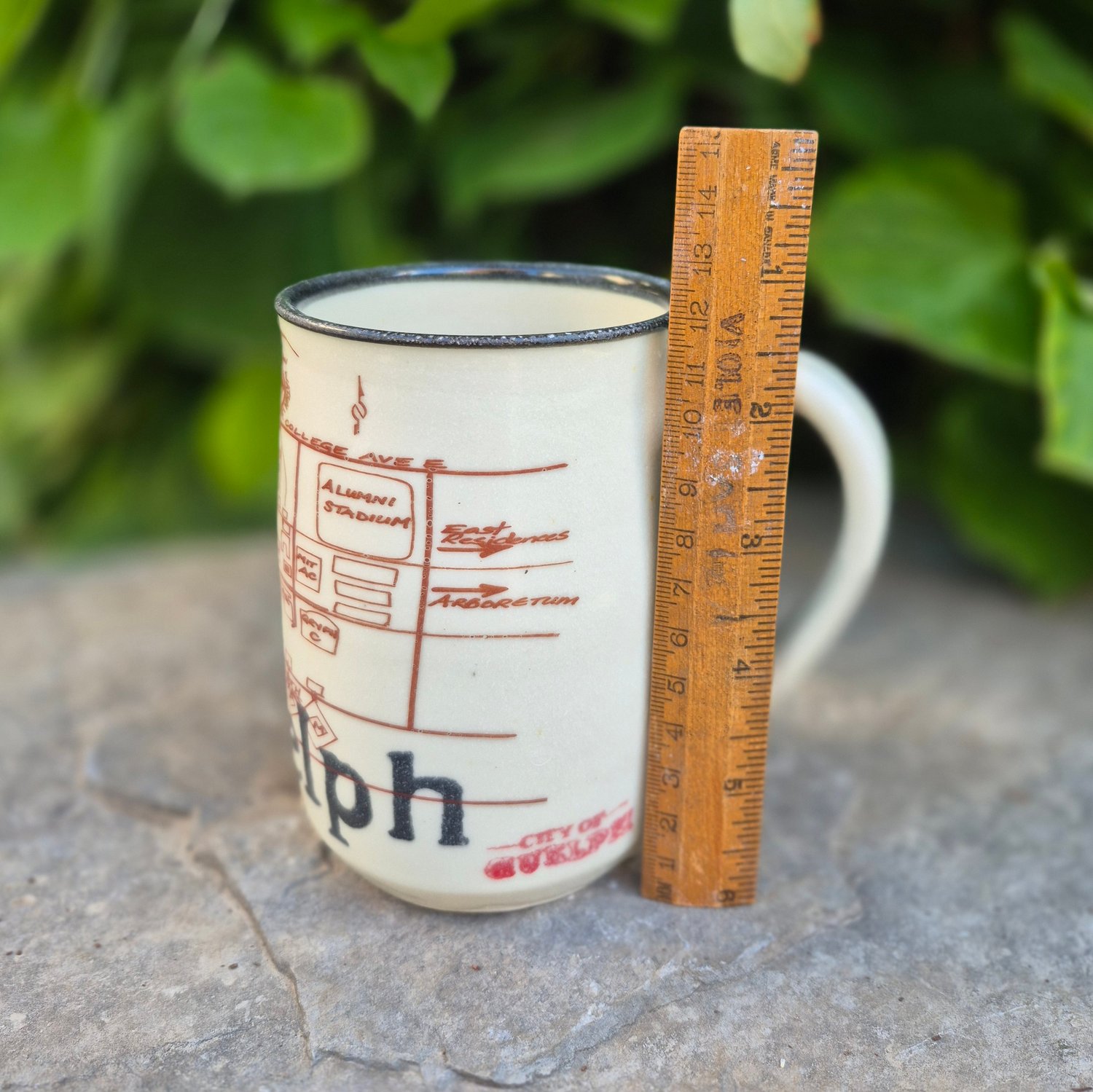 Image of U of Guelph mug by Bunny Safari