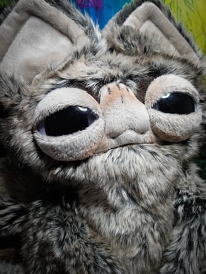 Cosmic Canidae Creature! A)