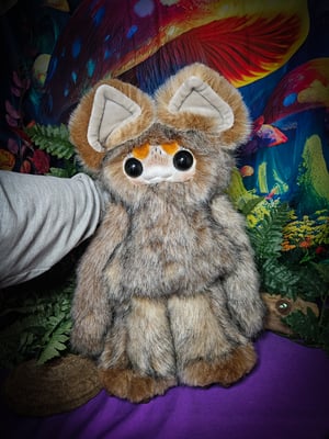 Canidae Creature! B)