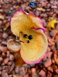 Image 2 of Neometal Threadless Prong set Swarovski CZ