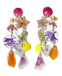 rosemary milkweed mix