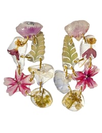 dianthus verbena mix