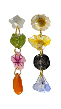 chamomile x forget me not