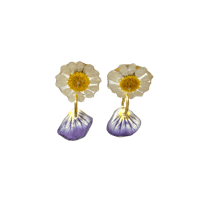 chamomile x pansy