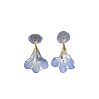 forget me not x lobelia 