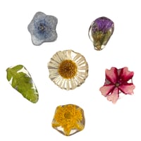 Image 1 of STUD PACK