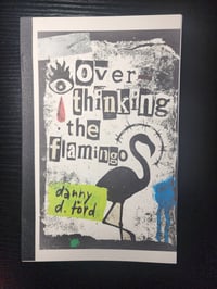 Overthinking the Flamingo by Danny D. Ford
