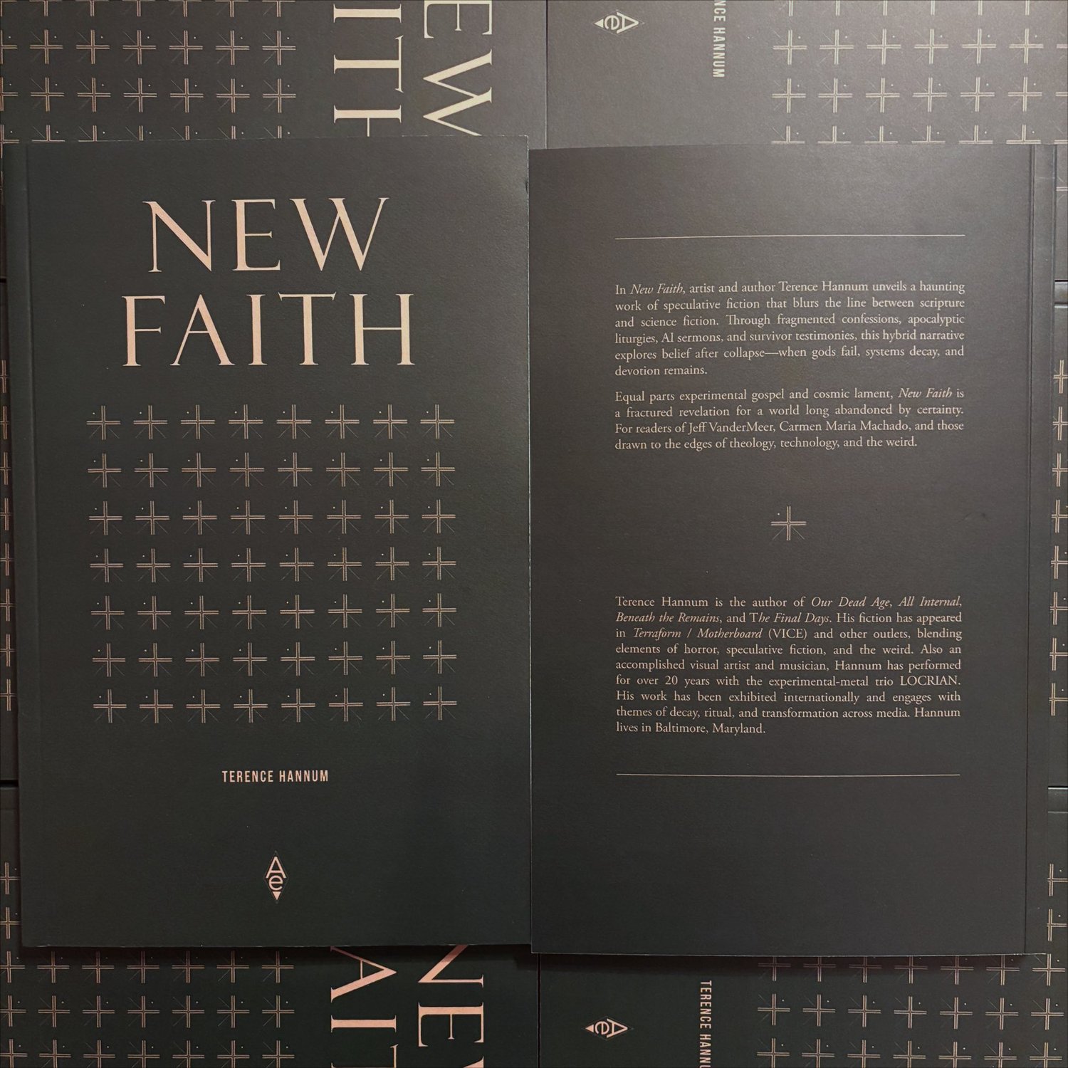 Image of TERENCE HANNUM "NEW FAITH"  (Story Collection)