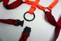 Image 5 of CAGE harness