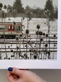 Image 2 of zima - linie