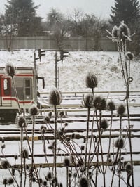 Image 3 of zima - linie