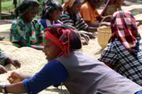 Image 4 of Shilicho - Ethiopie | ESPRESSO