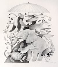 Image 4 of Original Biodiversidad
